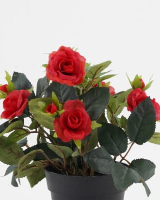 Artificial Flower 20*20*25cm Rose in PP pot GS-03323013-R1 Potted Flowers&Plants YeahFlower is one of Chinese leading OEM manufacturers and exporters , supplying the silk flowers, wholesale artificial trees Artificial Flower 20*20*25cm Rose in PP pot GS-03323013-R1 Potted Flowers&Plants YeahFlower is one of Chinese leading OEM manufacturers and exporters , supplying the silk flowers, wholesale artificial trees