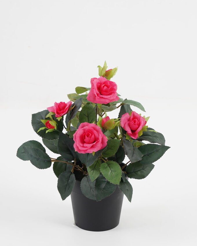 Artificial Flower 20*20*25cm Rose in PP pot GS-03323013-R2 Potted Flowers&Plants YeahFlower is one of Chinese leading OEM manufacturers and exporters , supplying the silk flowers, wholesale artificial trees