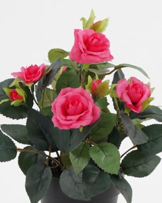 Artificial Flower 20*20*25cm Rose in PP pot GS-03323013-R2 Potted Flowers&Plants YeahFlower is one of Chinese leading OEM manufacturers and exporters , supplying the silk flowers, wholesale artificial trees Artificial Flower 20*20*25cm Rose in PP pot GS-03323013-R2 Potted Flowers&Plants YeahFlower is one of Chinese leading OEM manufacturers and exporters , supplying the silk flowers, wholesale artificial trees