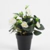 Artificial Flower Rose in PP pot GS-03323013-W1 Artificial Flower 20*20*25cm Rose in PP pot GS-03323013-W1 Potted Flowers&Plants YeahFlower is one of Chinese leading OEM manufacturers and exporters , supplying the silk flowers, wholesale artificial trees