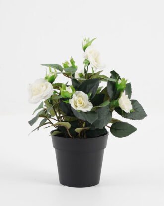 Artificial Flower 20*20*25cm Rose in PP pot GS-03323013-W1 Potted Flowers&Plants YeahFlower is one of Chinese leading OEM manufacturers and exporters , supplying the silk flowers, wholesale artificial trees Artificial Flower 20*20*25cm Rose in PP pot GS-03323013-W1 Potted Flowers&Plants YeahFlower is one of Chinese leading OEM manufacturers and exporters , supplying the silk flowers, wholesale artificial trees