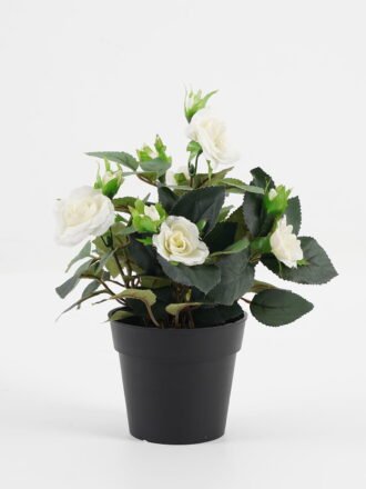 Artificial Flower 20*20*25cm Rose in PP pot GS-03323013-Y1 Potted Flowers&Plants 3,000+ sqm showroom with thousands of artificial flowers, plants & trees ready for global sourcing.