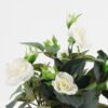 Artificial Flower Rose in PP pot GS-03323013-W1_4 Artificial Flower 20*20*25cm Rose in PP pot GS-03323013-W1 Potted Flowers&Plants YeahFlower is one of Chinese leading OEM manufacturers and exporters , supplying the silk flowers, wholesale artificial trees