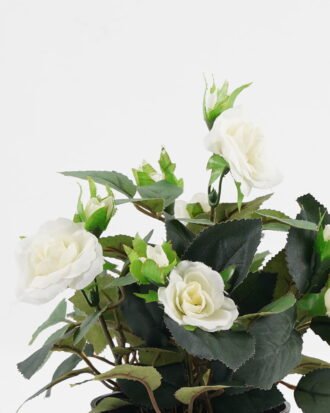 Artificial Flower 20*20*25cm Rose in PP pot GS-03323013-W1 Potted Flowers&Plants YeahFlower is one of Chinese leading OEM manufacturers and exporters , supplying the silk flowers, wholesale artificial trees Artificial Flower 20*20*25cm Rose in PP pot GS-03323013-W1 Potted Flowers&Plants YeahFlower is one of Chinese leading OEM manufacturers and exporters , supplying the silk flowers, wholesale artificial trees