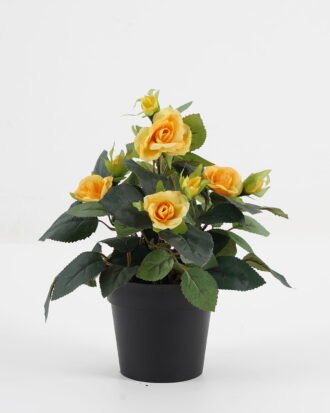 Artificial Flower 20*20*25cm Rose in PP pot GS-03323013-Y1 Potted Flowers&Plants YeahFlower is one of Chinese leading OEM manufacturers and exporters , supplying the silk flowers, wholesale artificial trees Artificial Flower 20*20*25cm Rose in PP pot GS-03323013-Y1 Potted Flowers&Plants YeahFlower is one of Chinese leading OEM manufacturers and exporters , supplying the silk flowers, wholesale artificial trees