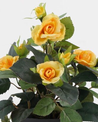 Artificial Flower 20*20*25cm Rose in PP pot GS-03323013-Y1 Potted Flowers&Plants YeahFlower is one of Chinese leading OEM manufacturers and exporters , supplying the silk flowers, wholesale artificial trees Artificial Flower 20*20*25cm Rose in PP pot GS-03323013-Y1 Potted Flowers&Plants YeahFlower is one of Chinese leading OEM manufacturers and exporters , supplying the silk flowers, wholesale artificial trees