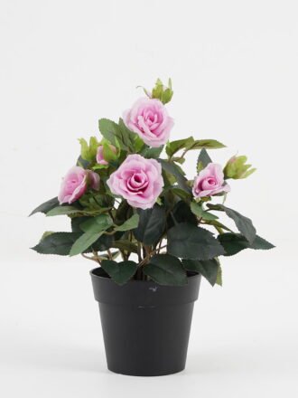 Artificial Flower 20*20*25cm Rose in PP pot GS-03323013-Y1 Potted Flowers&Plants 3,000+ sqm showroom with thousands of artificial flowers, plants & trees ready for global sourcing.