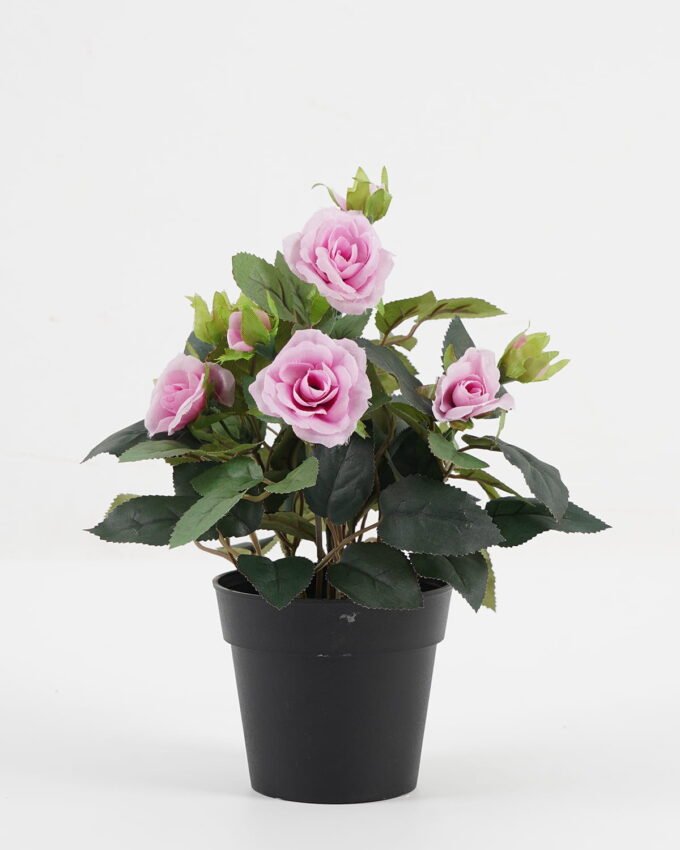 Artificial Flower 20*20*25cm Rose in PP pot GS-03323013-Z1 Potted Flowers&Plants YeahFlower is one of Chinese leading OEM manufacturers and exporters , supplying the silk flowers, wholesale artificial trees