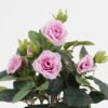 Artificial Flower 20*20*25cm Rose in PP pot GS-03323013-Z1 Potted Flowers&Plants YeahFlower is one of Chinese leading OEM manufacturers and exporters , supplying the silk flowers, wholesale artificial trees