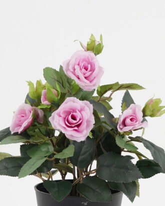 Artificial Flower 20*20*25cm Rose in PP pot GS-03323013-Z1 Potted Flowers&Plants YeahFlower is one of Chinese leading OEM manufacturers and exporters , supplying the silk flowers, wholesale artificial trees Artificial Flower 20*20*25cm Rose in PP pot GS-03323013-Z1 Potted Flowers&Plants YeahFlower is one of Chinese leading OEM manufacturers and exporters , supplying the silk flowers, wholesale artificial trees