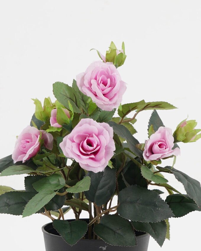 Artificial Flower 20*20*25cm Rose in PP pot GS-03323013-Z1 Potted Flowers&Plants YeahFlower is one of Chinese leading OEM manufacturers and exporters , supplying the silk flowers, wholesale artificial trees