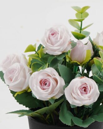 Artificial Flower 15*15*19cm Rose in PP pot GS-03323041 Potted Flowers&Plants YeahFlower is one of Chinese leading OEM manufacturers and exporters , supplying the silk flowers, wholesale artificial trees Artificial Flower 15*15*19cm Rose in PP pot GS-03323041 Potted Flowers&Plants YeahFlower is one of Chinese leading OEM manufacturers and exporters , supplying the silk flowers, wholesale artificial trees