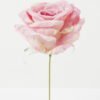 Artificial Flower Rose single stem GS-70023009CONTI-P1_4 Artificial Flower 11*11*19cm Rose single stem GS-70023009CONTI-P1 Single Flowers YeahFlower is one of Chinese leading OEM manufacturers and exporters , supplying the silk flowers, wholesale artificial trees