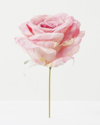 Artificial Flower 11*11*19cm Rose single stem GS-70023009CONTI-P1 Single Flowers YeahFlower is one of Chinese leading OEM manufacturers and exporters , supplying the silk flowers, wholesale artificial trees