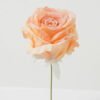 Artificial Flower Rose single stem GS-70023009CONTI-P1_5 Artificial Flower 11*11*19cm Rose single stem GS-70023009CONTI-P1 Single Flowers YeahFlower is one of Chinese leading OEM manufacturers and exporters , supplying the silk flowers, wholesale artificial trees