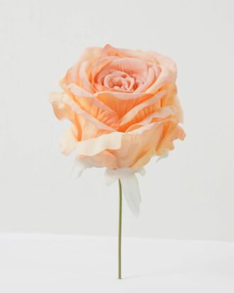 Artificial Flower 11*11*19cm Rose single stem GS-70023009CONTI-P1 Single Flowers YeahFlower is one of Chinese leading OEM manufacturers and exporters , supplying the silk flowers, wholesale artificial trees