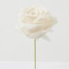 Artificial Flower Rose single stem GS-70023009CONTI-W1_3 Artificial Flower 11*11*19cm Rose single stem GS-70023009CONTI-W1 Single Flowers YeahFlower is one of Chinese leading OEM manufacturers and exporters , supplying the silk flowers, wholesale artificial trees