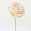 Artificial Flower Rose single stem GS-70023009CONTI-W1_4 Artificial Flower 11*11*19cm Rose single stem GS-70023009CONTI-W1 Single Flowers YeahFlower is one of Chinese leading OEM manufacturers and exporters , supplying the silk flowers, wholesale artificial trees