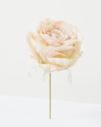 Artificial Flower 11*11*19cm Rose single stem GS-70023009CONTI-W1 Single Flowers YeahFlower is one of Chinese leading OEM manufacturers and exporters , supplying the silk flowers, wholesale artificial trees