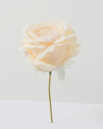 Artificial Flower 11*11*19cm Rose single stem GS-70023009CONTI Single Flowers YeahFlower is one of Chinese leading OEM manufacturers and exporters , supplying the silk flowers, wholesale artificial trees