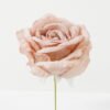 Artificial Flower Rose single stem GS-70023009CONTI_5 Artificial Flower 11*11*19cm Rose single stem GS-70023009CONTI Single Flowers YeahFlower is one of Chinese leading OEM manufacturers and exporters , supplying the silk flowers, wholesale artificial trees