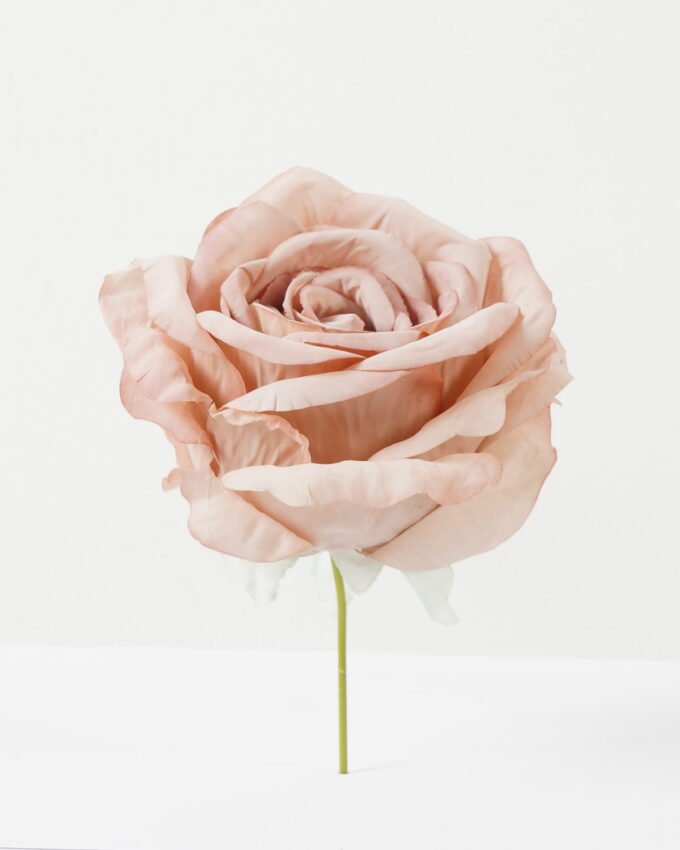 Artificial Flower Rose single stem GS-70023009CONTI_5 Artificial Flower 11*11*19cm Rose single stem GS-70023009CONTI Single Flowers YeahFlower is one of Chinese leading OEM manufacturers and exporters , supplying the silk flowers, wholesale artificial trees
