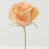 Artificial Flower 10*10*18cm Rose single stem GS-70023011CONTI-K1 Single Flowers YeahFlower is one of Chinese leading OEM manufacturers and exporters , supplying the silk flowers, wholesale artificial trees