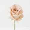 Artificial Flower Rose single stem GS-70023011CONTI-P1_4 Artificial Flower 10*10*18cm Rose single stem GS-70023011CONTI-P1 Single Flowers YeahFlower is one of Chinese leading OEM manufacturers and exporters , supplying the silk flowers, wholesale artificial trees