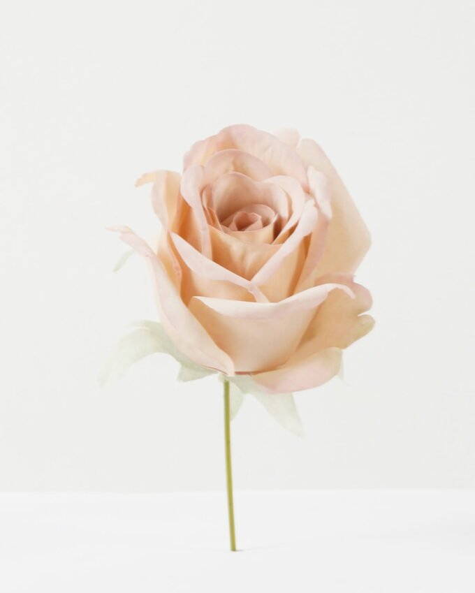 Artificial Flower Rose single stem GS-70023011CONTI-P1_4 Artificial Flower 10*10*18cm Rose single stem GS-70023011CONTI-P1 Single Flowers YeahFlower is one of Chinese leading OEM manufacturers and exporters , supplying the silk flowers, wholesale artificial trees