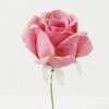 Artificial Flower Rose single stem GS-70023011CONTI-R1_4 Artificial Flower 10*10*18cm Rose single stem GS-70023011CONTI-R1 Single Flowers YeahFlower is one of Chinese leading OEM manufacturers and exporters , supplying the silk flowers, wholesale artificial trees