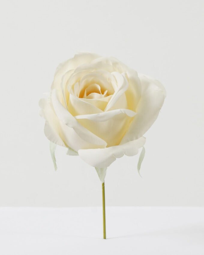 Artificial Flower Rose single stem GS-70023011CONTI-R1_6 Artificial Flower 10*10*18cm Rose single stem GS-70023011CONTI-R1 Single Flowers YeahFlower is one of Chinese leading OEM manufacturers and exporters , supplying the silk flowers, wholesale artificial trees
