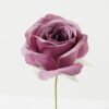 Artificial Flower Rose single stem GS-70023011CONTI-Z2_5 Artificial Flower 10*10*18cm Rose single stem GS-70023011CONTI-Z2 Single Flowers YeahFlower is one of Chinese leading OEM manufacturers and exporters , supplying the silk flowers, wholesale artificial trees