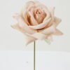 Artificial Flower 9*9*14cm Rose single stem GS-70023012CONTI-P3 Single Flowers YeahFlower is one of Chinese leading OEM manufacturers and exporters , supplying the silk flowers, wholesale artificial trees