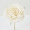 Artificial Flower 9*9*16cm Rose single stem GS-70023013CONTI-W1 Single Flowers YeahFlower is one of Chinese leading OEM manufacturers and exporters , supplying the silk flowers, wholesale artificial trees