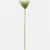 Artificial Flower 14*14*80cm Sedge single stem GS-30323002-G3 Single Flowers YeahFlower is one of Chinese leading OEM manufacturers and exporters , supplying the silk flowers, wholesale artificial trees