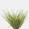 Artificial Flower 14*14*80cm Sedge single stem GS-30323002-G3 Single Flowers YeahFlower is one of Chinese leading OEM manufacturers and exporters , supplying the silk flowers, wholesale artificial trees