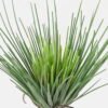 Artificial Flower 14*14*80cm Sedge single stem GS-30323002-G4 Single Flowers YeahFlower is one of Chinese leading OEM manufacturers and exporters , supplying the silk flowers, wholesale artificial trees