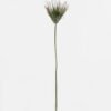 Artificial Flower 14*14*80cm Sedge single stem GS-30323002-G5 Single Flowers YeahFlower is one of Chinese leading OEM manufacturers and exporters , supplying the silk flowers, wholesale artificial trees