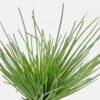 Artificial Flower 14*14*80cm Sedge single stem GS-30323002 Single Flowers YeahFlower is one of Chinese leading OEM manufacturers and exporters , supplying the silk flowers, wholesale artificial trees