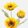 Artificial Flower H:73 Southern sunflower *3 single stem GS-00522053DUP-Y1 Single Flowers YeahFlower is one of Chinese leading OEM manufacturers and exporters , supplying the silk flowers, wholesale artificial trees