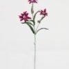 Artificial Flower 12*12*48cm Tuberose single stem GS-128J23022-R2 Single Flowers YeahFlower is one of Chinese leading OEM manufacturers and exporters , supplying the silk flowers, wholesale artificial trees