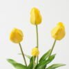 Artificial Flower Tulip 4 bundle GS-31323003CONTI-Y1_5 Artificial Flower 20*20*44cm Tulip *4 bundle GS-31323003CONTI-Y1 Bouquet YeahFlower is one of Chinese leading OEM manufacturers and exporters , supplying the silk flowers, wholesale artificial trees