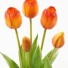 Artificial Flower 16*16*38cm Tulip *5 bundle GS-24523006-O1 Bouquet YeahFlower is one of Chinese leading OEM manufacturers and exporters , supplying the silk flowers, wholesale artificial trees