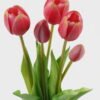 Artificial Flower 16*16*38cm Tulip *5 bundle GS-24523006-R3 Bouquet YeahFlower is one of Chinese leading OEM manufacturers and exporters , supplying the silk flowers, wholesale artificial trees