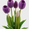 Artificial Flower 16*16*38cm Tulip *5 bundle GS-24523006-Z1 Bouquet YeahFlower is one of Chinese leading OEM manufacturers and exporters , supplying the silk flowers, wholesale artificial trees