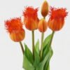 Artificial Flower Tulip 5 bundle GS-24523010-O1_1 Artificial Flower 15*15*43cm Tulip *5 bundle GS-24523010-O1 Bouquet YeahFlower is one of Chinese leading OEM manufacturers and exporters , supplying the silk flowers, wholesale artificial trees