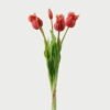 Artificial Flower Tulip 5 bundle GS-24523010-R2_3 Artificial Flower 15*15*43cm Tulip *5 bundle GS-24523010-R2 Bouquet YeahFlower is one of Chinese leading OEM manufacturers and exporters , supplying the silk flowers, wholesale artificial trees