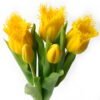 Artificial Flower 16*16*31cm Tulip *5 bundle GS-24523011CONTI-Y1 Bouquet YeahFlower is one of Chinese leading OEM manufacturers and exporters , supplying the silk flowers, wholesale artificial trees
