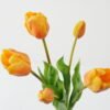 Artificial Flower 17*17*44cm Tulip *5 bundle GS-24523015-O1 Bouquet YeahFlower is one of Chinese leading OEM manufacturers and exporters , supplying the silk flowers, wholesale artificial trees