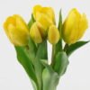 Artificial Flower 14*14*31cm Tulip *5 bundle GS-24523017-Y1 Bouquet YeahFlower is one of Chinese leading OEM manufacturers and exporters , supplying the silk flowers, wholesale artificial trees